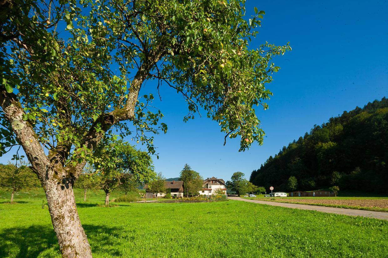 Landgasthof Kinzigstrand Biberach bei Offenburg Exterior photo
